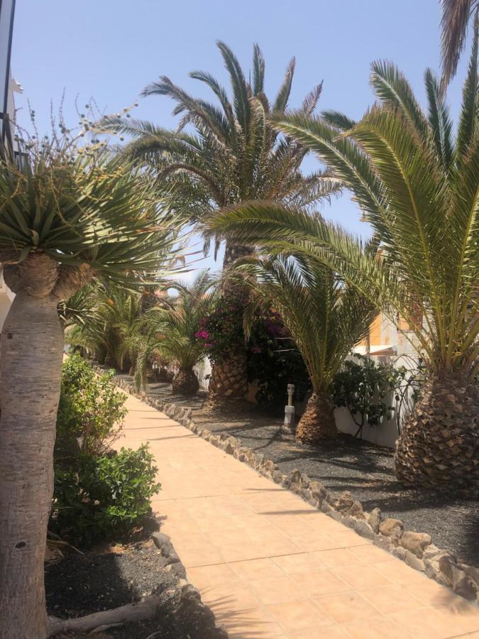 Apartamento Sunny Complex Amaya Fuerteventura Costa De Antigua Exteriér fotografie